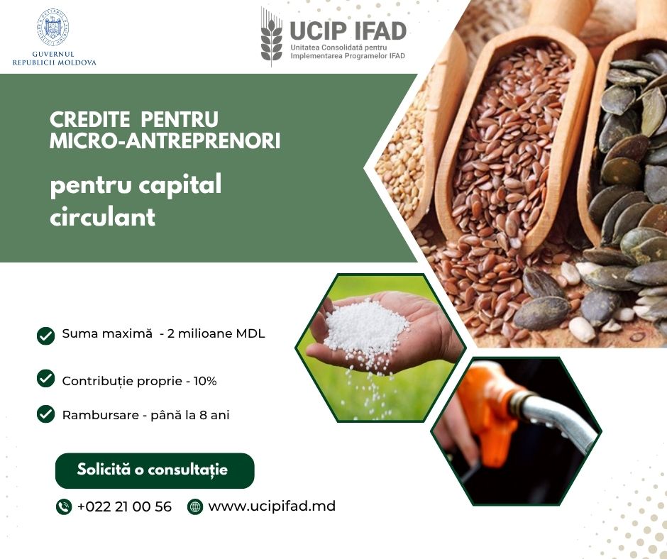 Credite IFAD de până la 2 milioane de lei pentru agricultorii din mediul rural: cum pot aplica femeile antreprenoare din Moldova